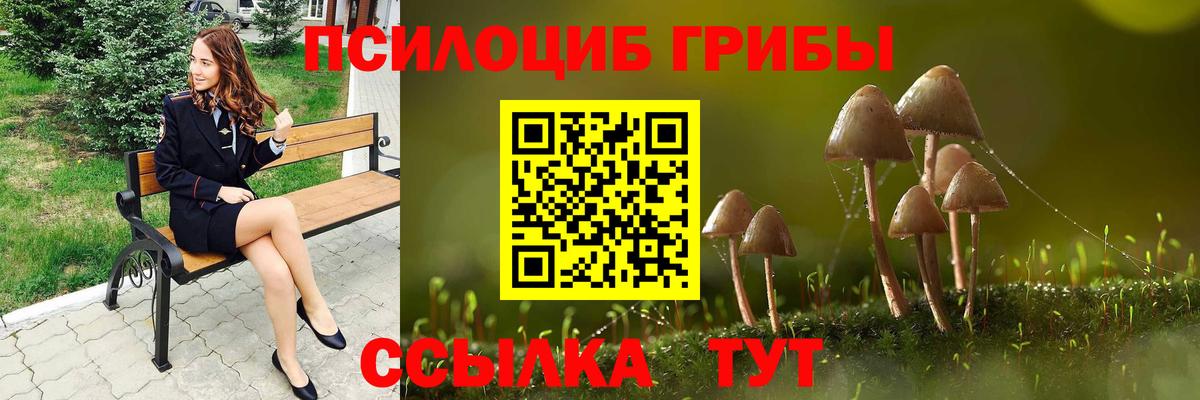 Галлюциногенные грибы GOLDEN TEACHER  Галлюциногенные грибы Psilocybe  Абакан  Вход с VPN 